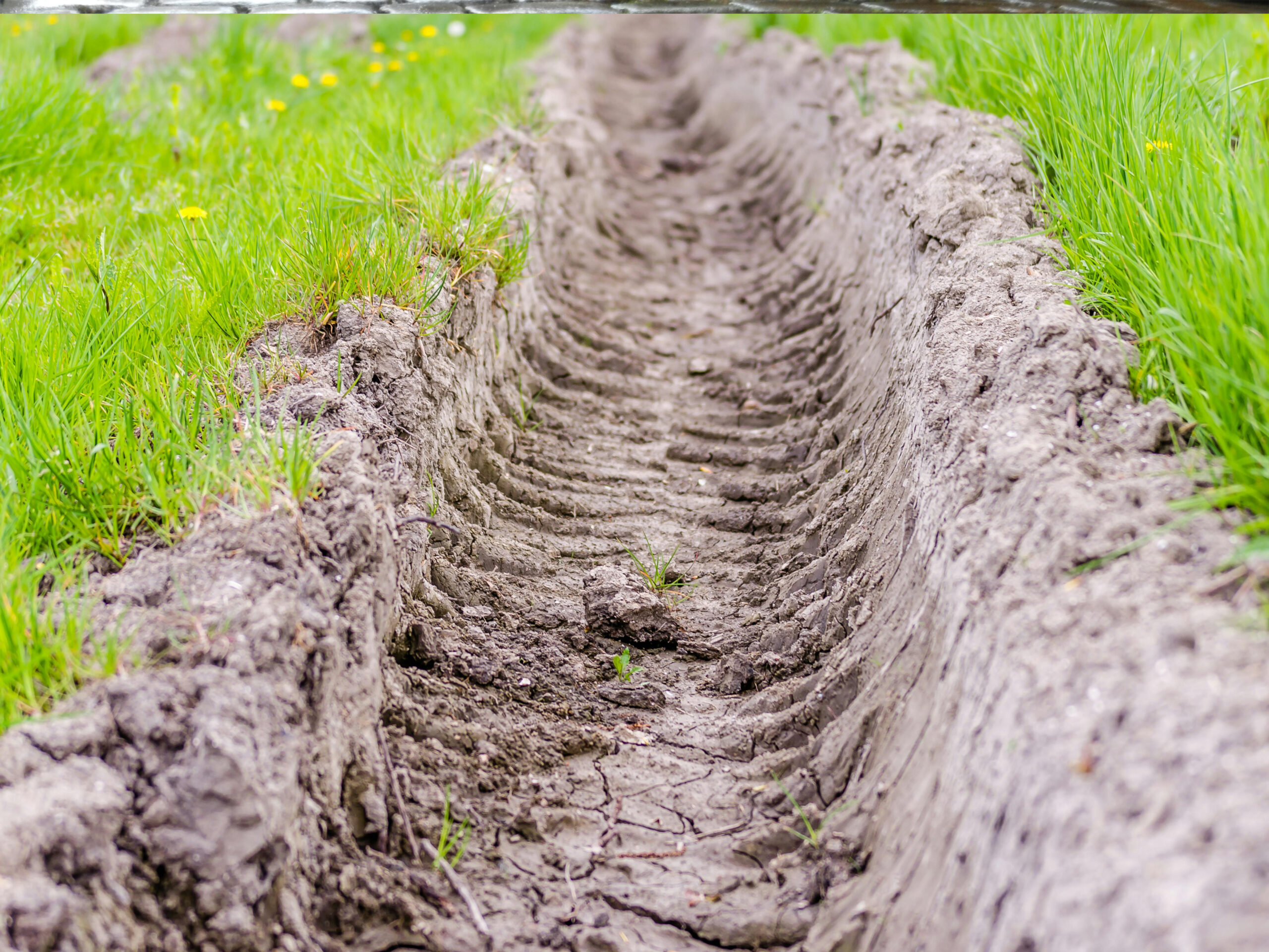French Drain Installation by Beach Boy Grounds Maintenance
