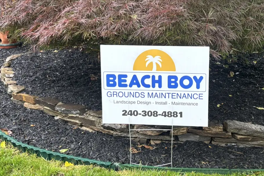 A Beach Boy Yard sign in a decorative planter.