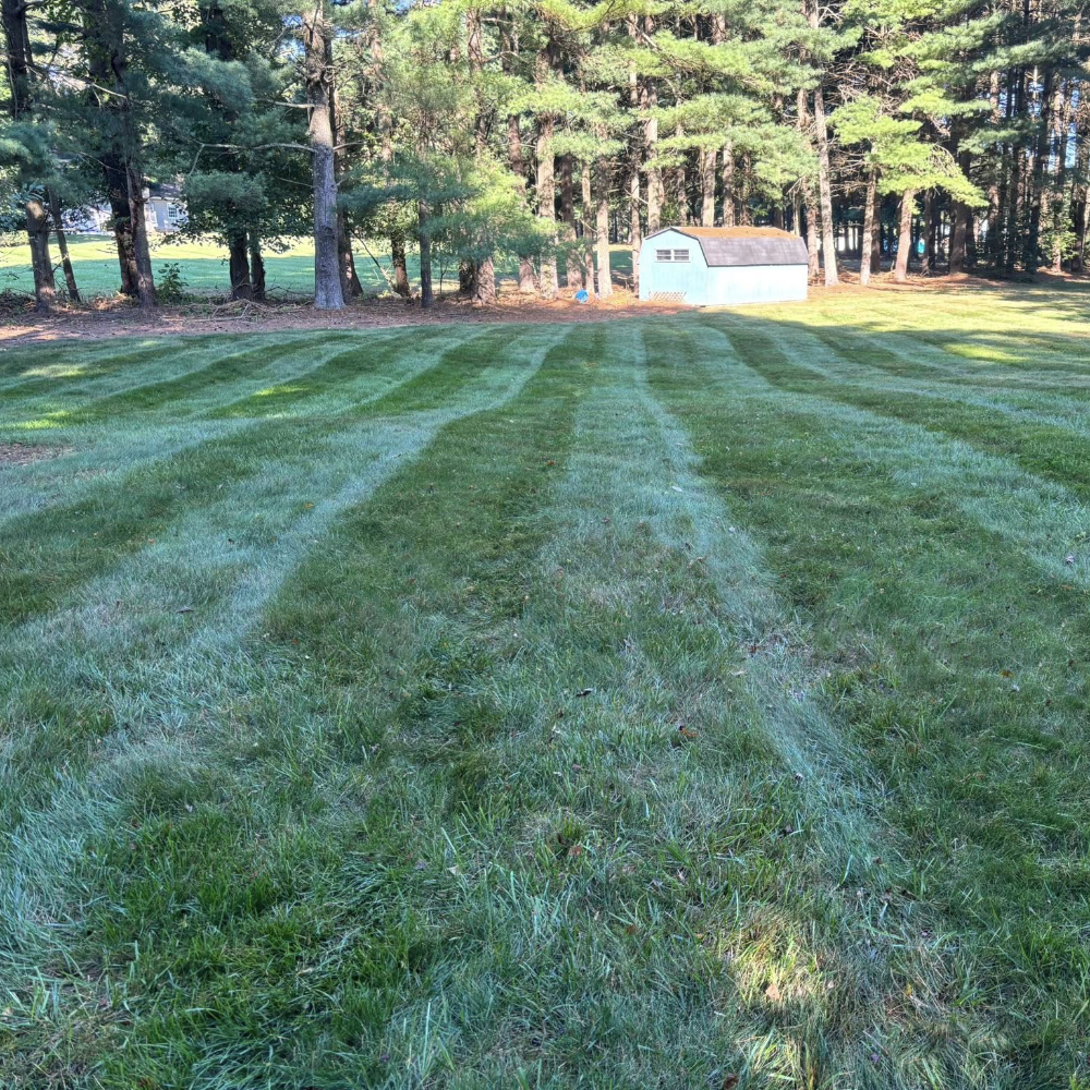 Lawn Mowing and Maintenance by Beach Boy Grounds Maintenance