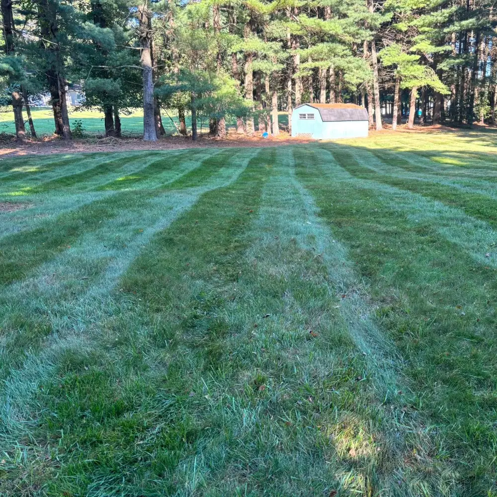 Lawn Mowing and Maintenance by Beach Boy Grounds Maintenance